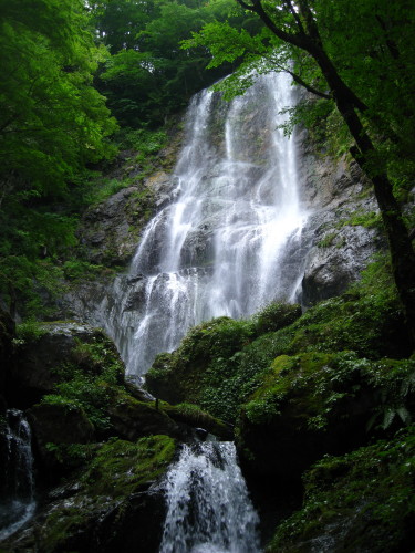 c0179351_1219527.jpg