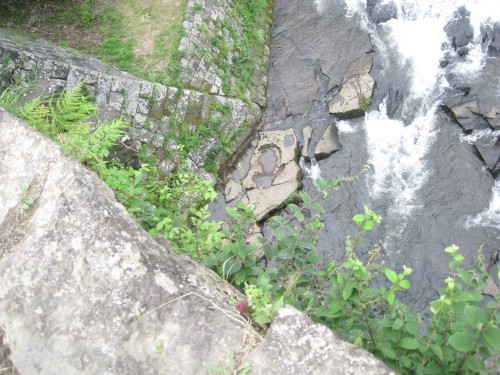 c0179351_1222835.jpg