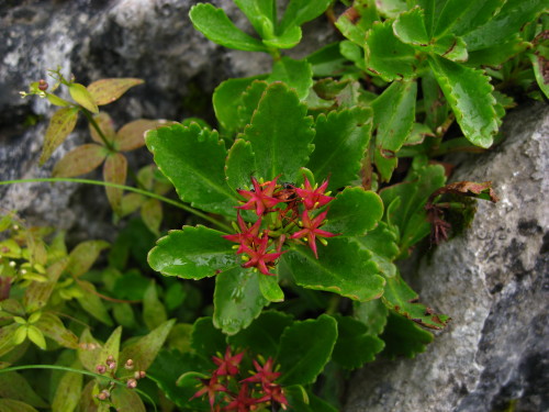 c0179351_1241881.jpg