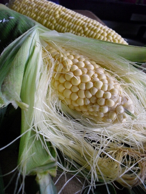 f0009451_10211966.jpg
