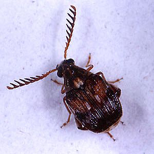 a0096557_22594088.jpg