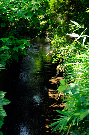 f0176458_21175416.jpg