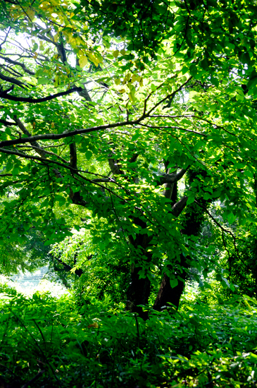 f0176458_21212264.jpg
