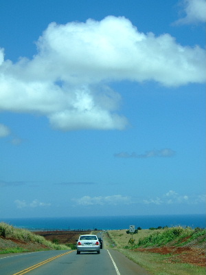 d0102664_23202270.jpg