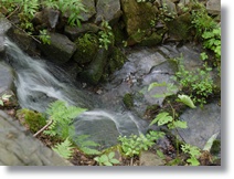 f0177165_17231372.jpg