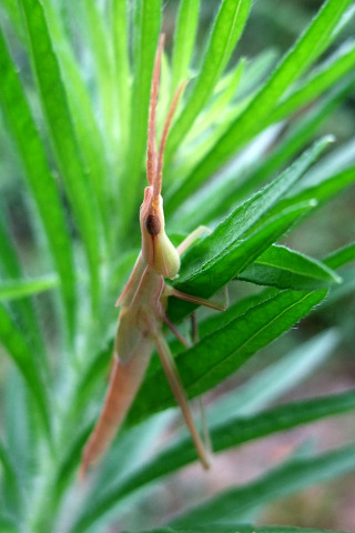 e0045768_21545227.jpg
