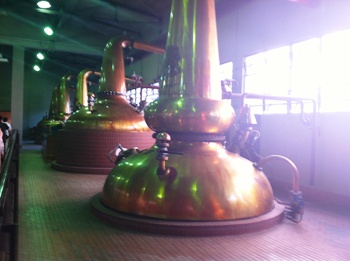 e0066369_950147.jpg