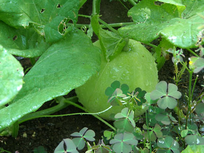 e0097770_22374790.jpg