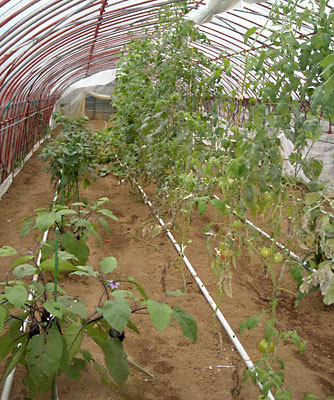 e0097770_2252165.jpg