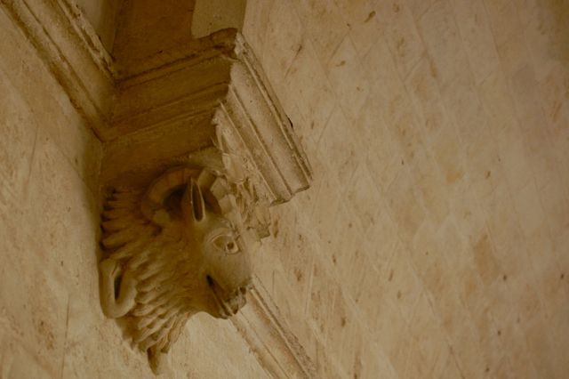 d0008073_6111555.jpg
