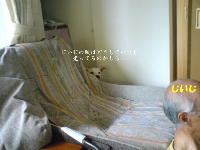 b0177174_10511670.jpg