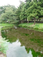 b0004675_18222430.jpg