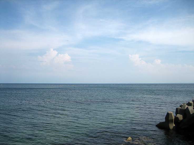b0057679_819209.jpg