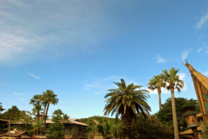 b0142688_105784.jpg