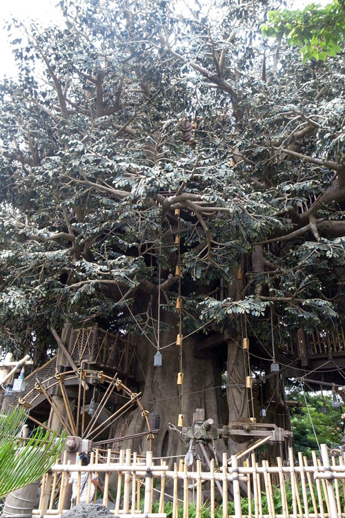 b0142688_1123134.jpg