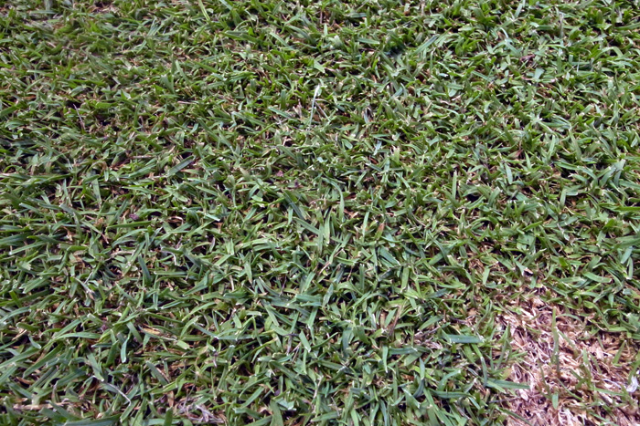 b0142688_1129396.jpg
