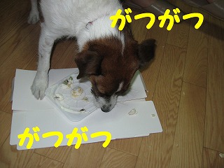 e0121589_122646.jpg