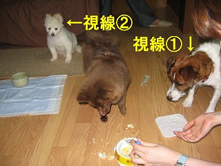 e0121589_172651.jpg