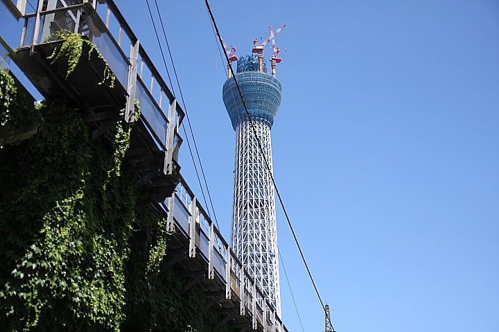 f0164989_5491087.jpg