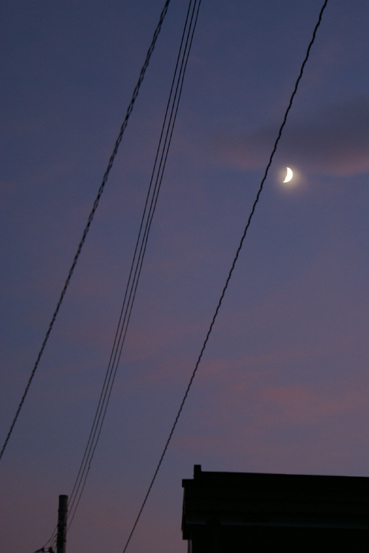 c0139591_023421.jpg