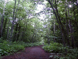 f0200795_9361613.jpg