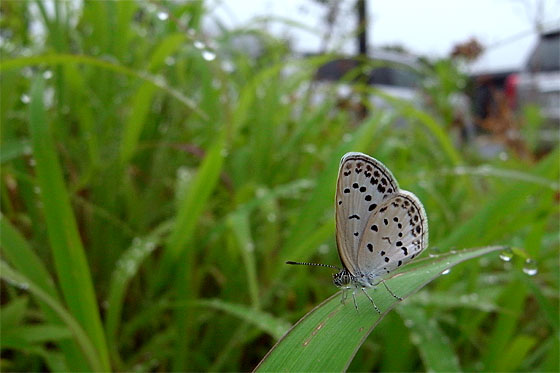 d0001300_2128921.jpg