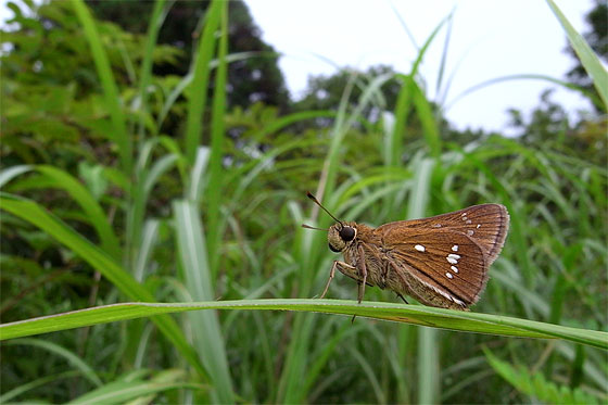 d0001300_21294963.jpg