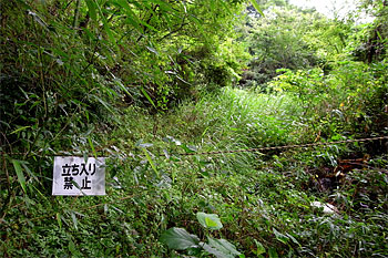 d0001300_21591418.jpg