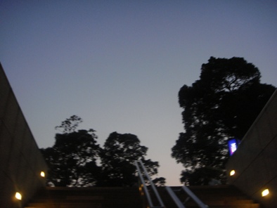 a0167803_22173292.jpg