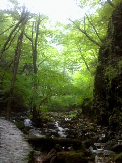 a0159009_1255145.jpg