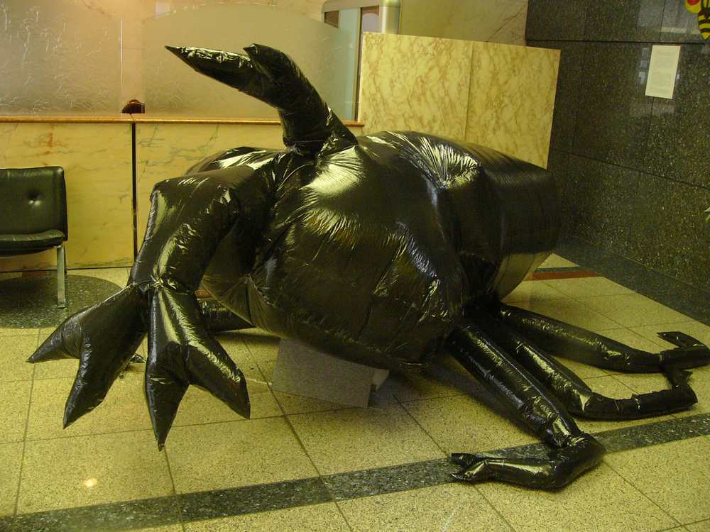 c0062511_2234116.jpg
