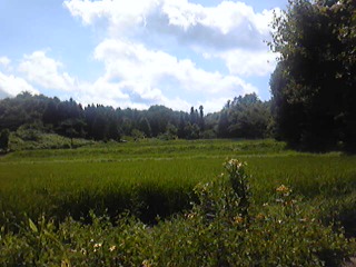 b0187413_12273446.jpg