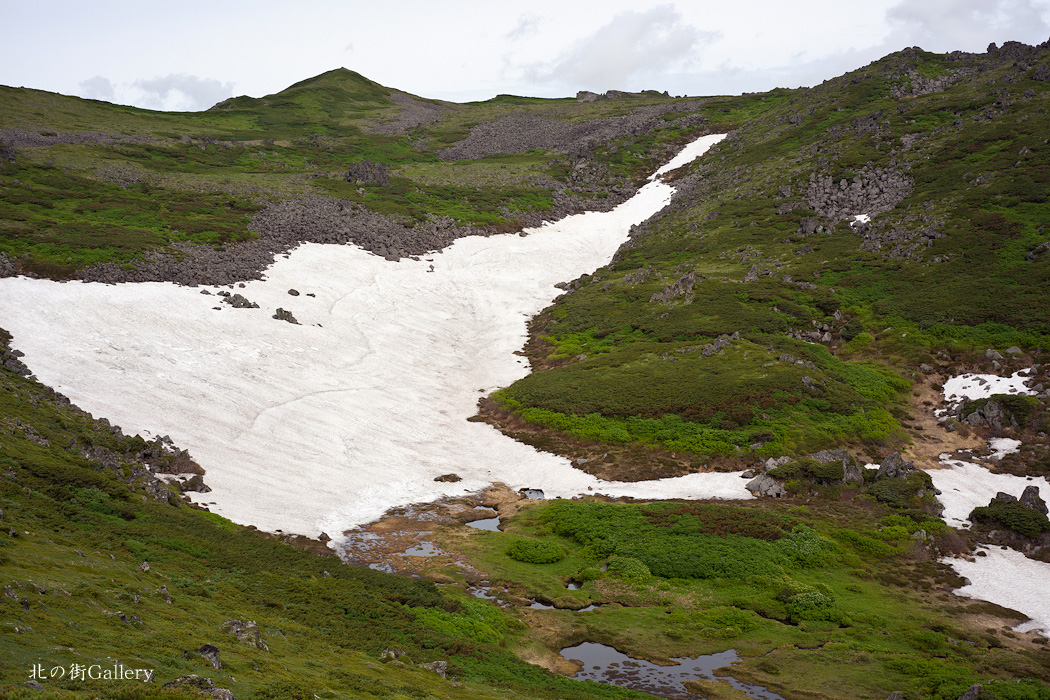c0073613_22535516.jpg