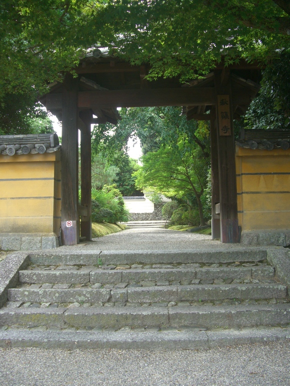d0007913_2324991.jpg