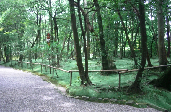 d0007913_2325275.jpg