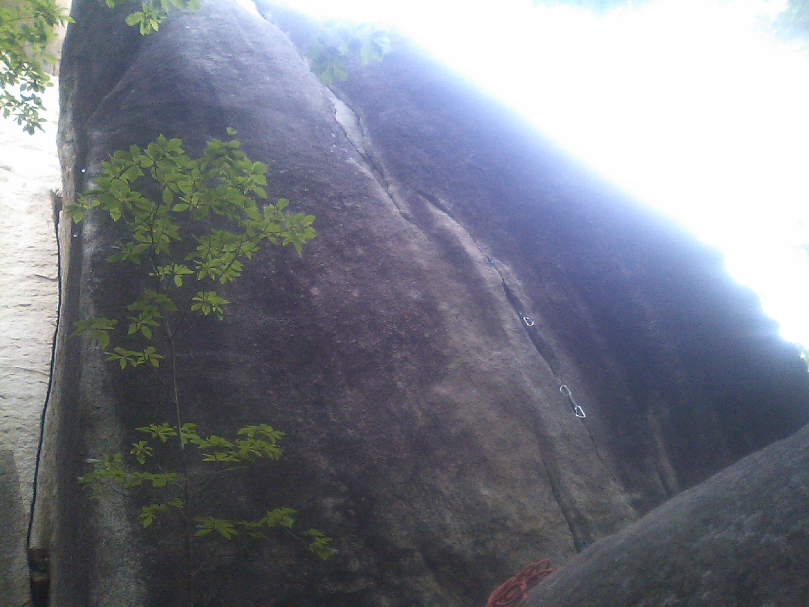 c0210618_755182.jpg