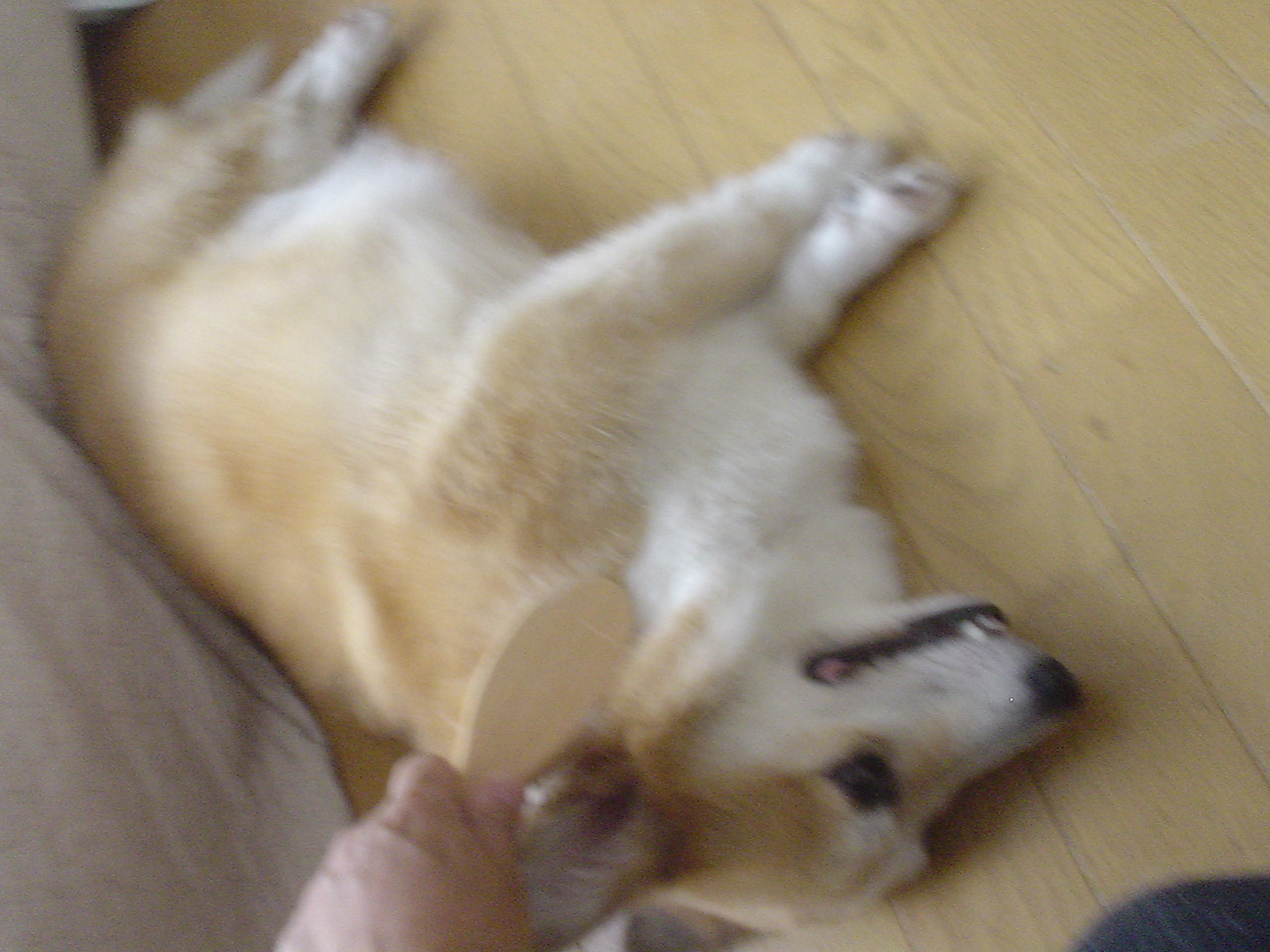 c0150520_16352082.jpg