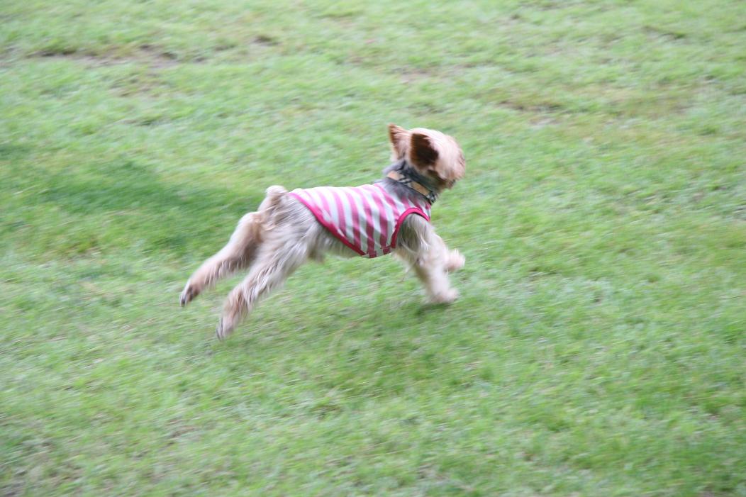 f0124830_18351119.jpg