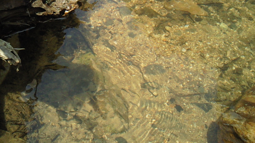 b0011334_22125351.jpg