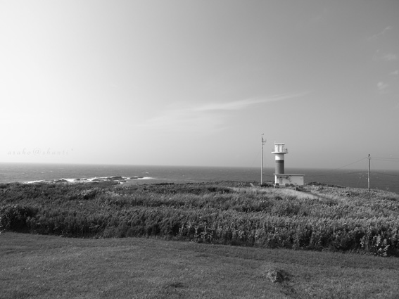a0094336_21464156.jpg