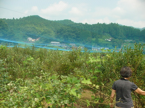 b0198336_2265979.jpg
