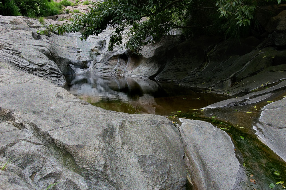 d0136836_8285521.jpg