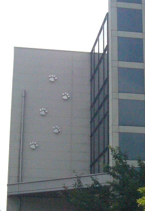 f0002743_1504585.jpg