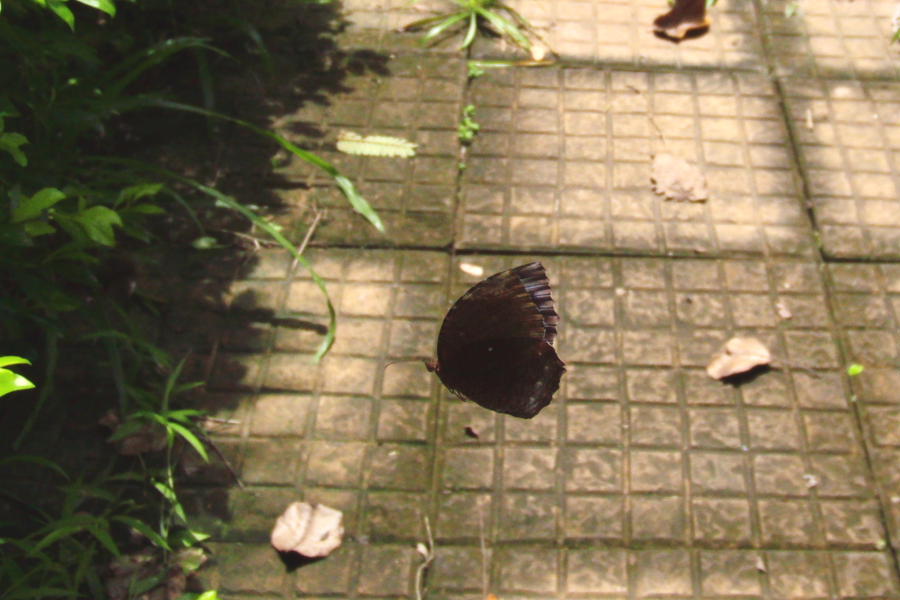 a0094850_1220512.jpg