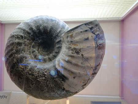 d0163550_2023730.jpg