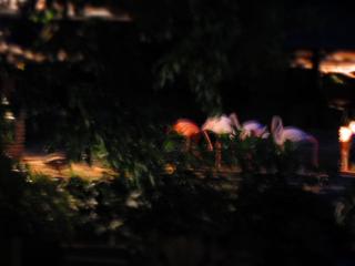 a0139353_12554491.jpg