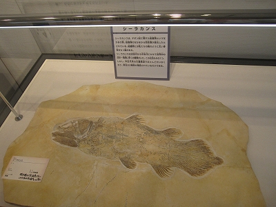 d0031853_5595660.jpg