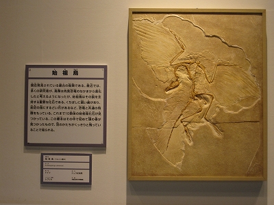 d0031853_601452.jpg