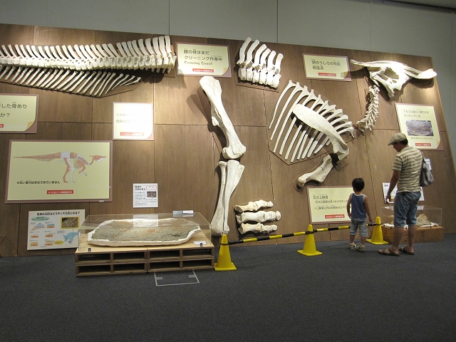 d0031853_673285.jpg