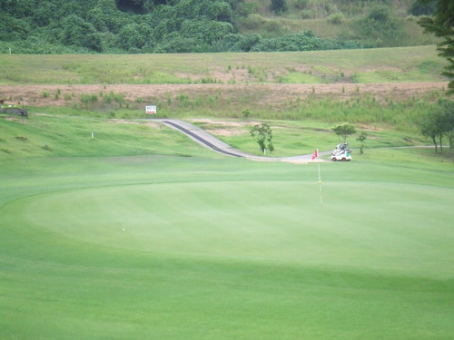 d0177254_1414125.jpg